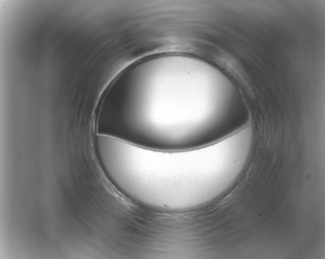 X0000065961276200603030919