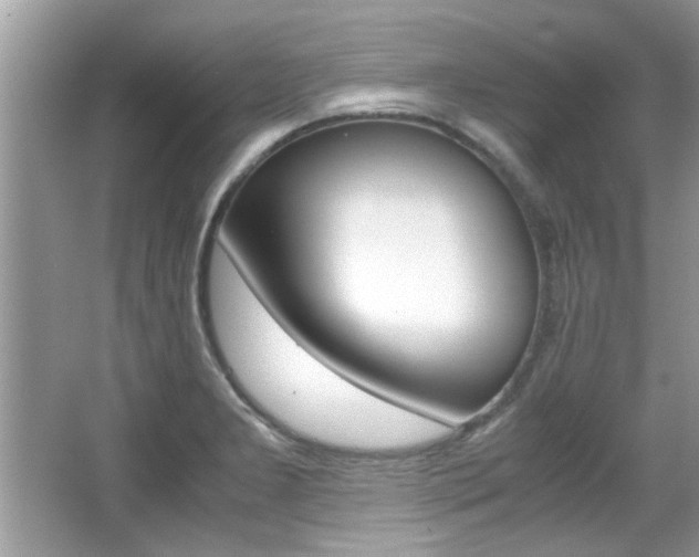 X0000065961277200603030919