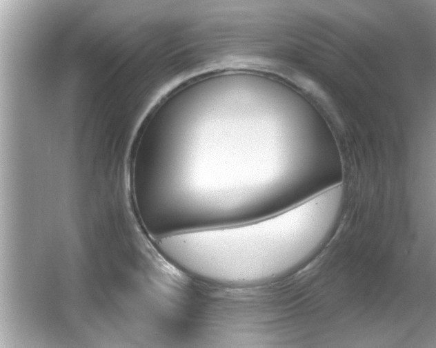 X0000065961280200603030919