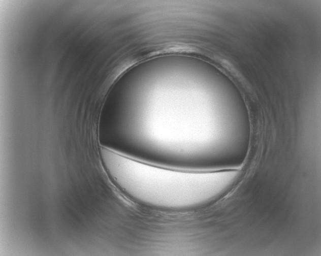 X0000065961281200603030919