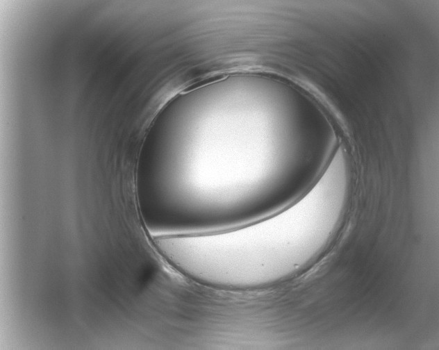 X0000065961289200603030919
