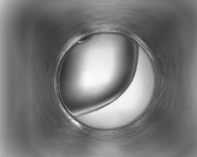 X0000065961293200603030919
