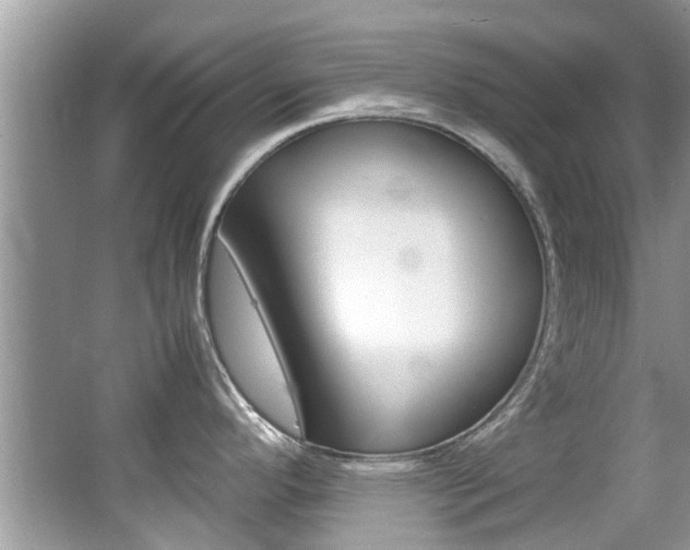 X0000065961296200603030919