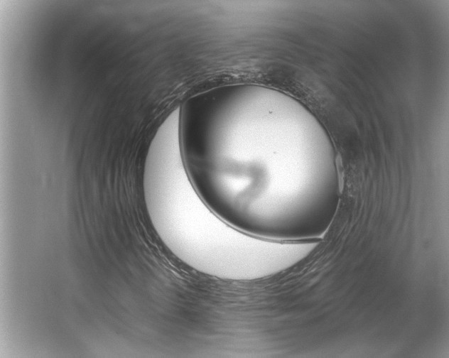 X0000065961298200603030918