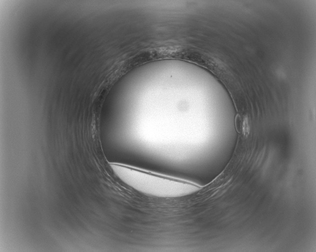X0000065961299200603030918