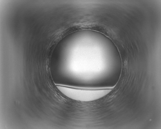 X0000065961300200603030918