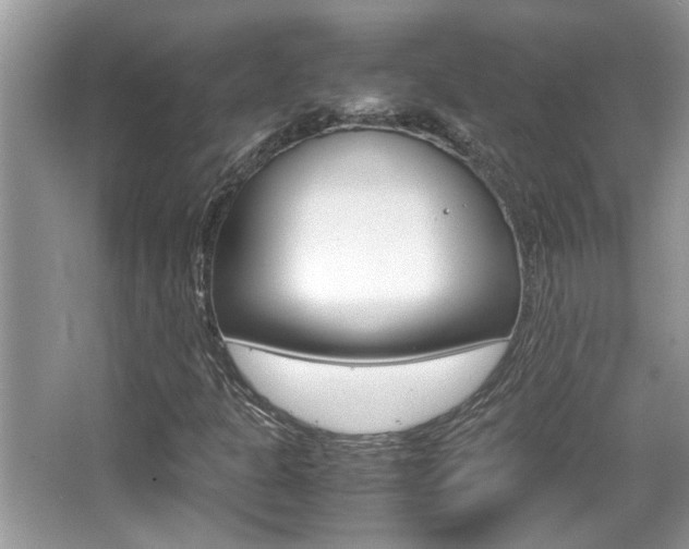 X0000065961301200603030918