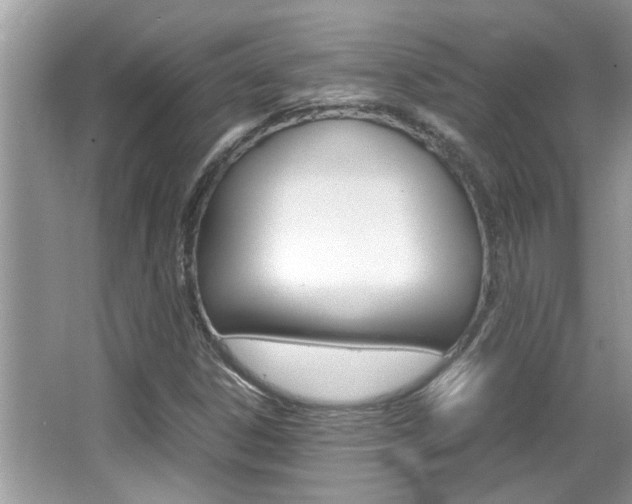 X0000065961306200603030918