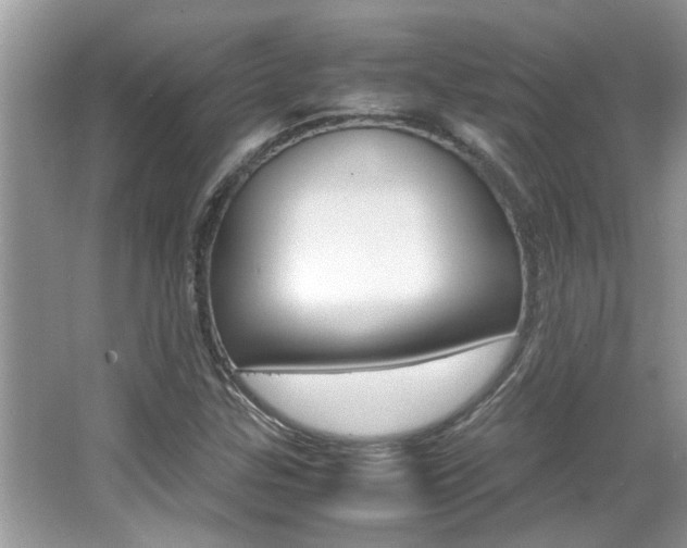 X0000065961307200603030918