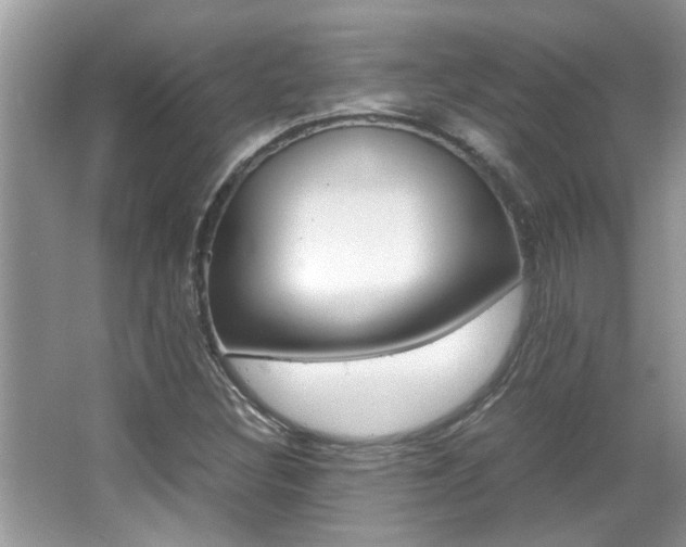 X0000065961308200603030918