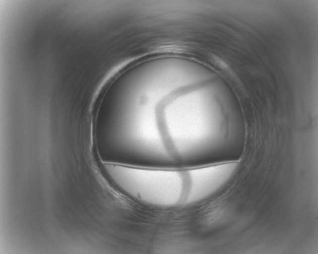 X0000065961323200603030919