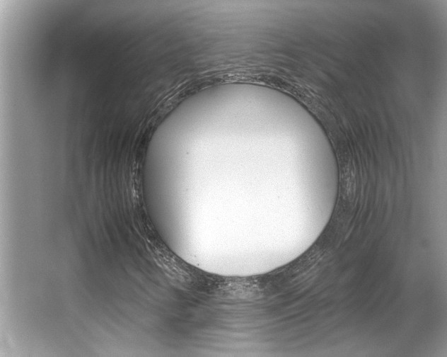 X0000065961346200603030918