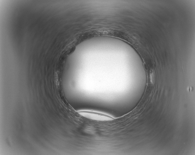 X0000065961347200603030918