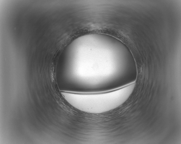 X0000065961348200603030918