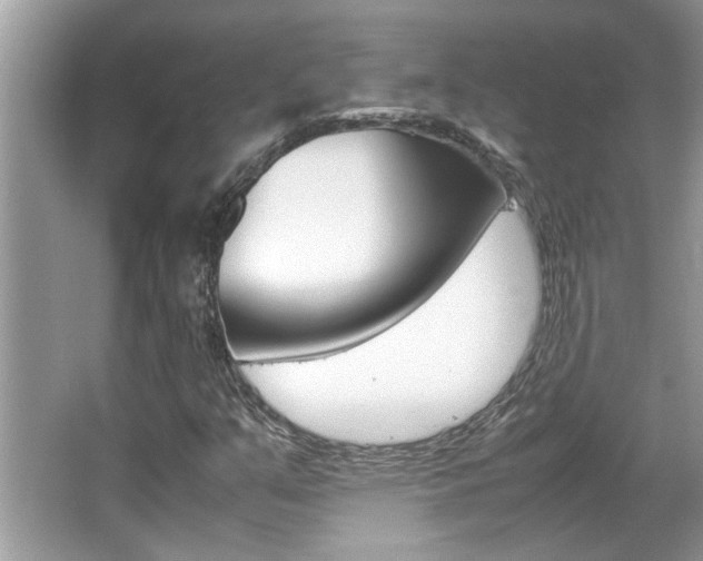 X0000065961351200603030918