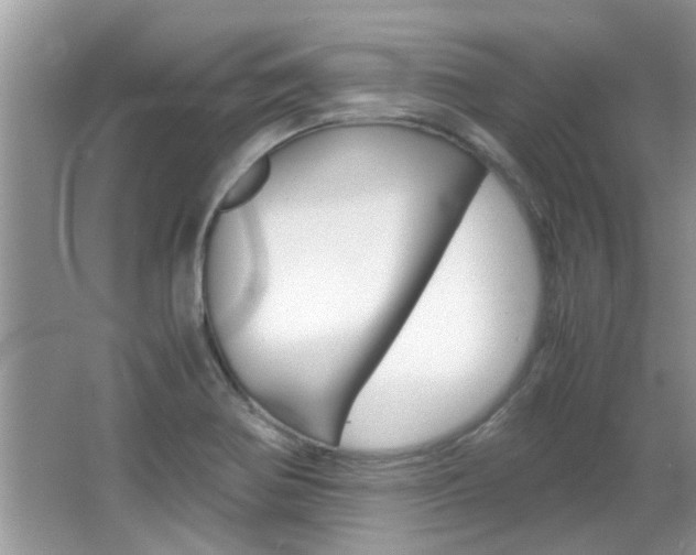 X0000065961370200603030918