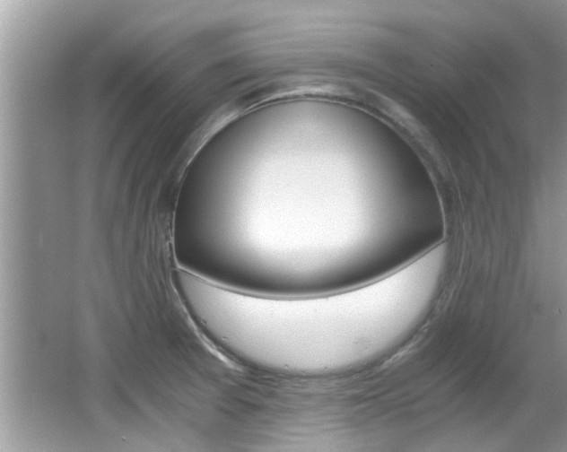 X0000065961377200603030918