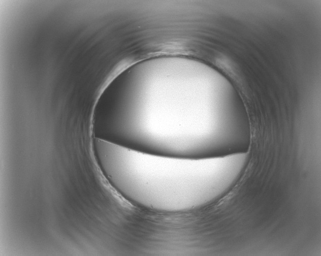 X0000065961378200603030918