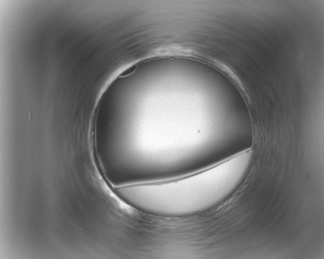 X0000065961387200603030918