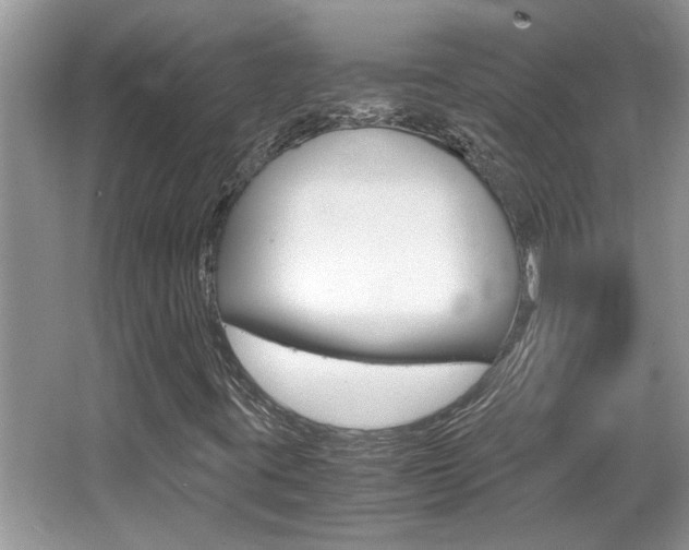 X0000065961395200603030917