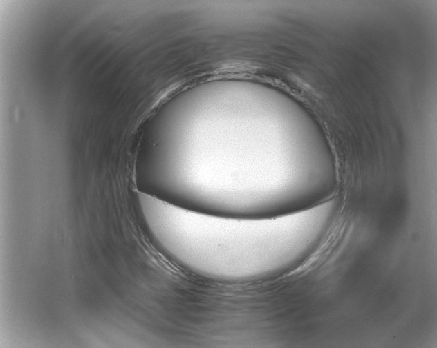 X0000065961401200603030917