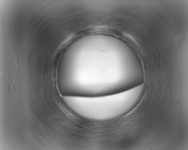 X0000065961403200603030917