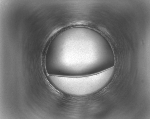 X0000065961404200603030917