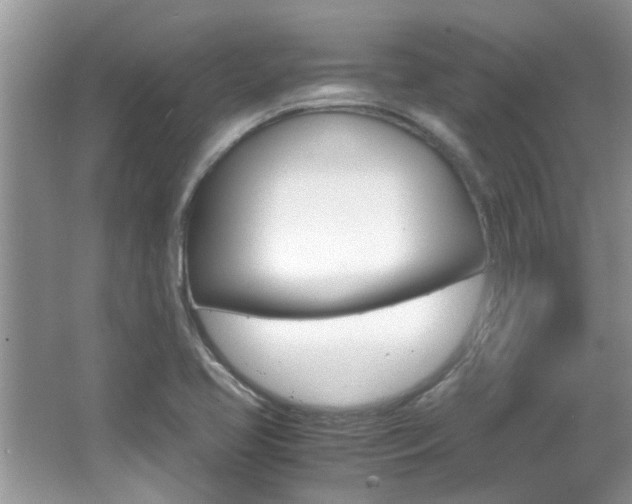 X0000065961413200603030917