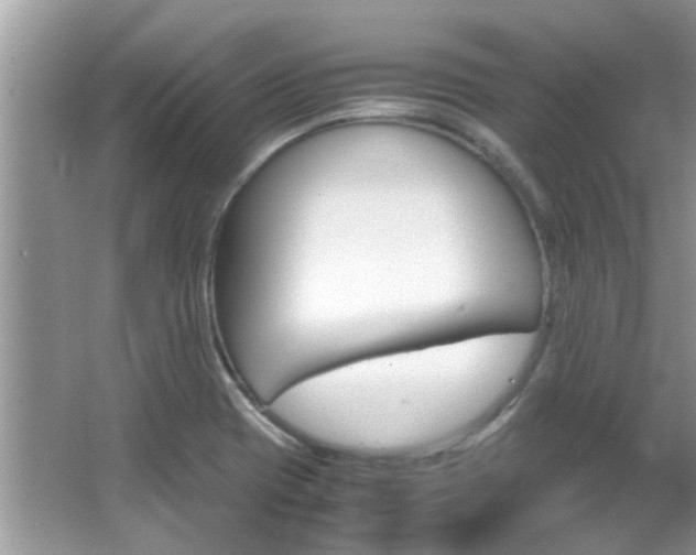 X0000065961417200603030917