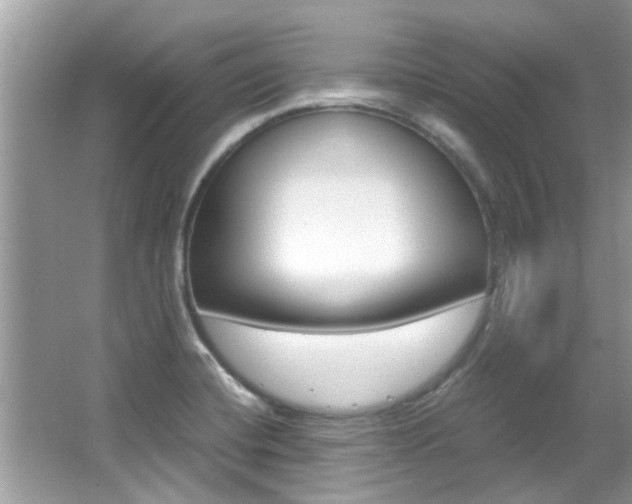 X0000065961420200603030917