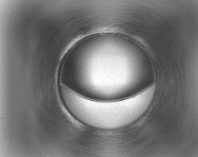 X0000065961422200603030917