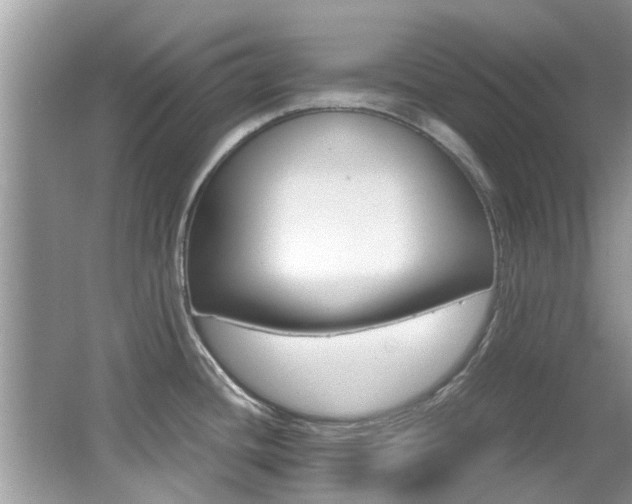 X0000065961436200603030917
