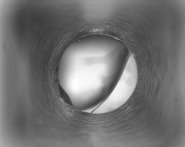 X0000065961441200603030917