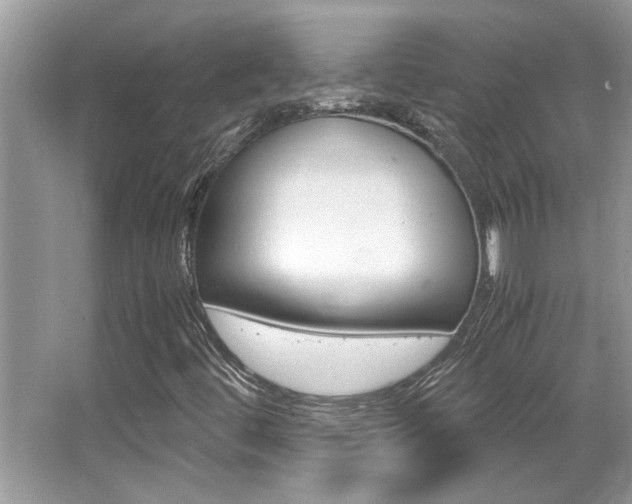 X0000065961444200603030917