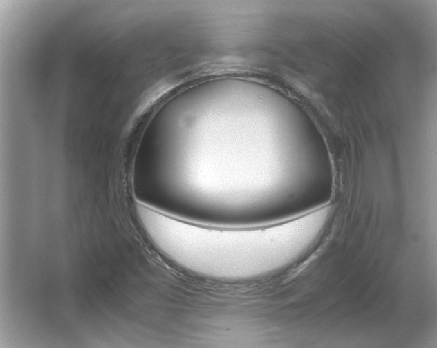 X0000065961453200603030916