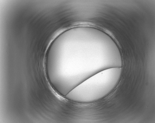 X0000065961482200603030916