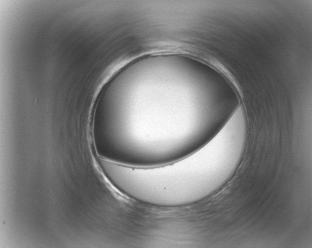 X0000065961485200603030916