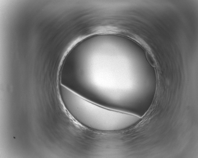 X0000065961488200603030916