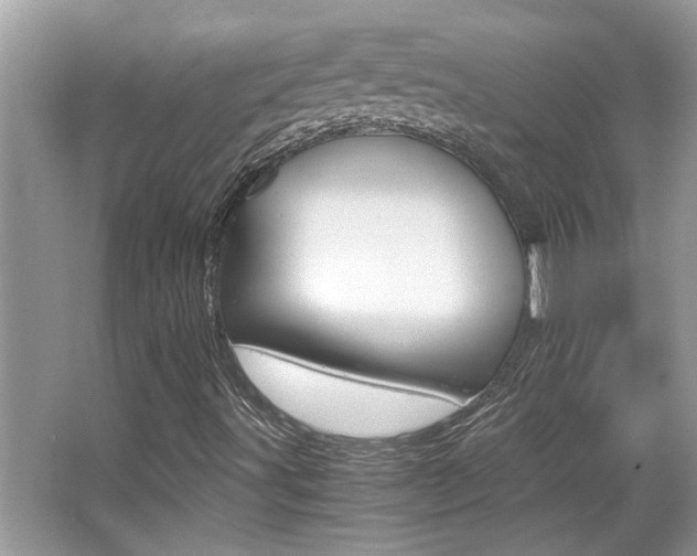 X0000065961491200603030915