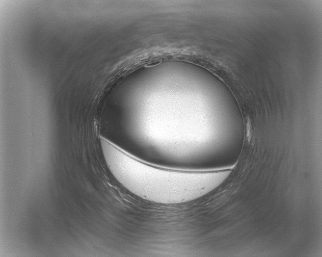 X0000065961492200603030915