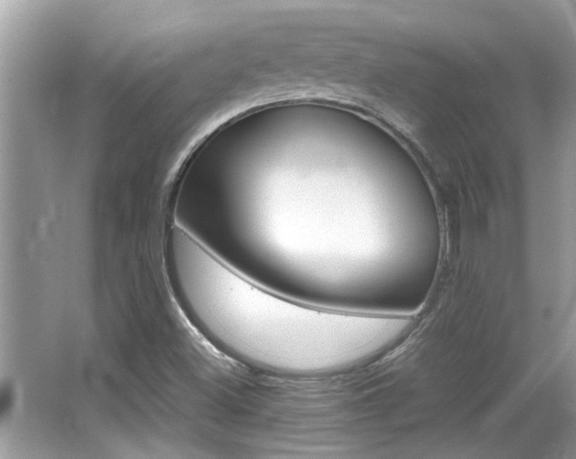 X0000065961500200603030915