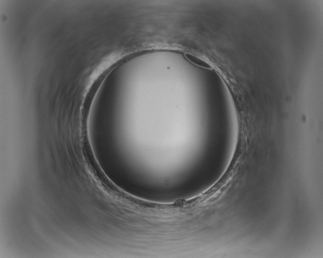 X0000065960008200603031139
