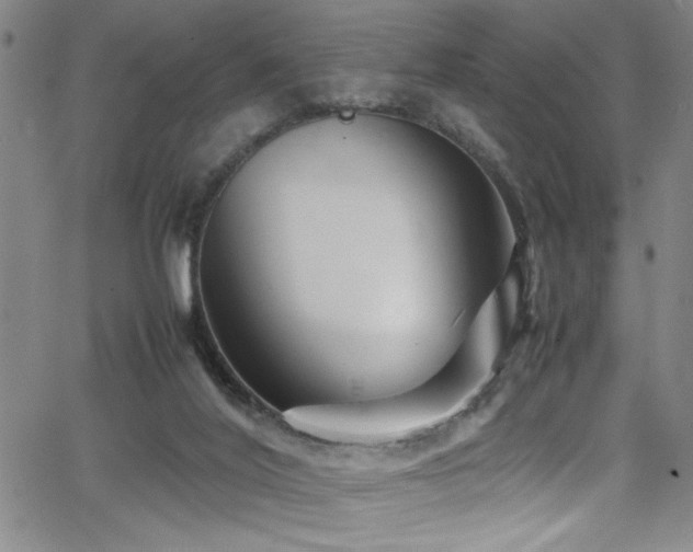 X0000065960020200603031139