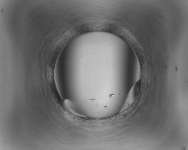 X0000065960025200603031139