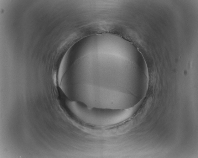 X0000065960027200603031139