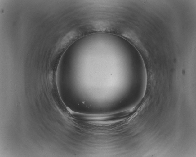 X0000065960066200603031138