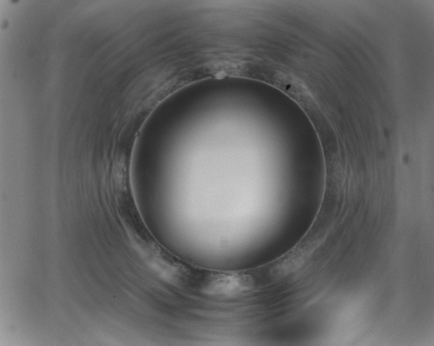 X0000065960083200603031139