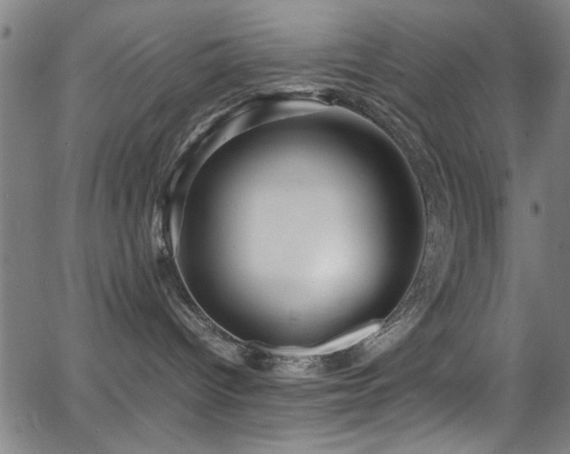 X0000065960096200603031139