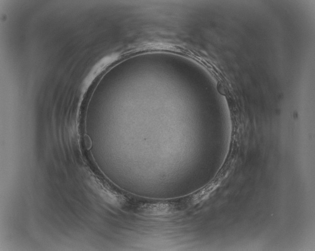 X0000065960104200603031138