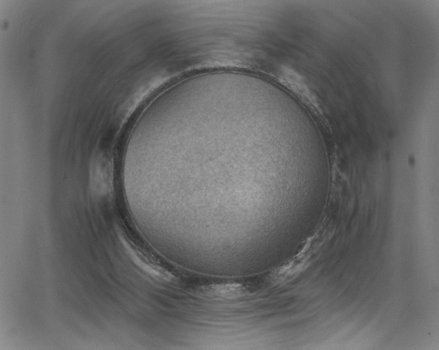X0000065960108200603031138
